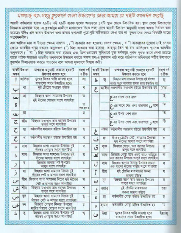 Scan 6