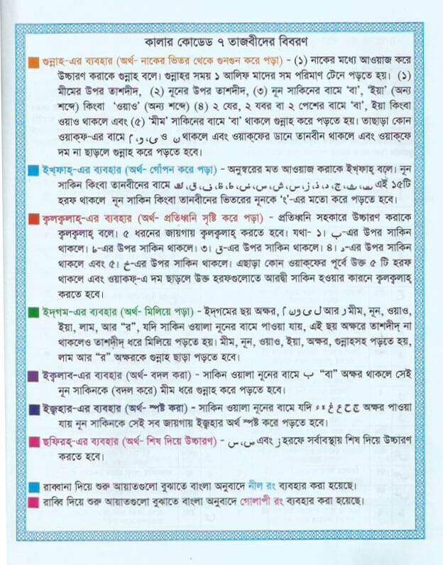 Scan 8